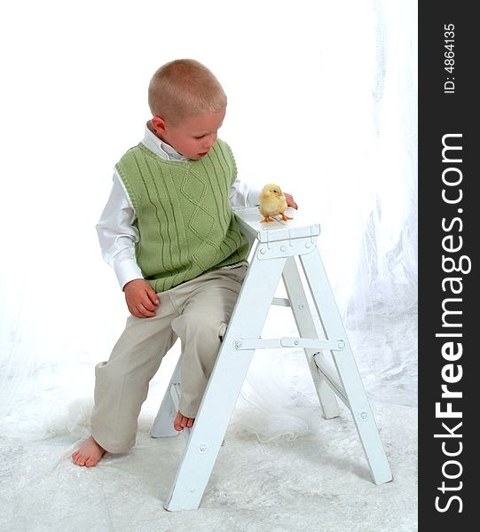 Boy sitting on ladder petting baby chicken in front of white background. Boy sitting on ladder petting baby chicken in front of white background