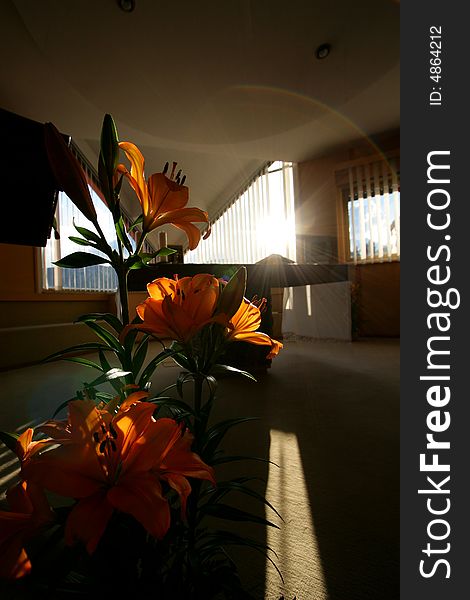 Flowers in a church with sun from window. Flowers in a church with sun from window