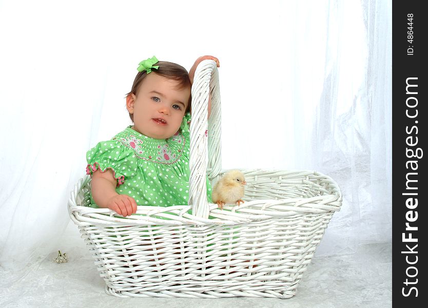 Baby girl in wicker basket looking at camera with chick perched on basket in front of white background. Baby girl in wicker basket looking at camera with chick perched on basket in front of white background