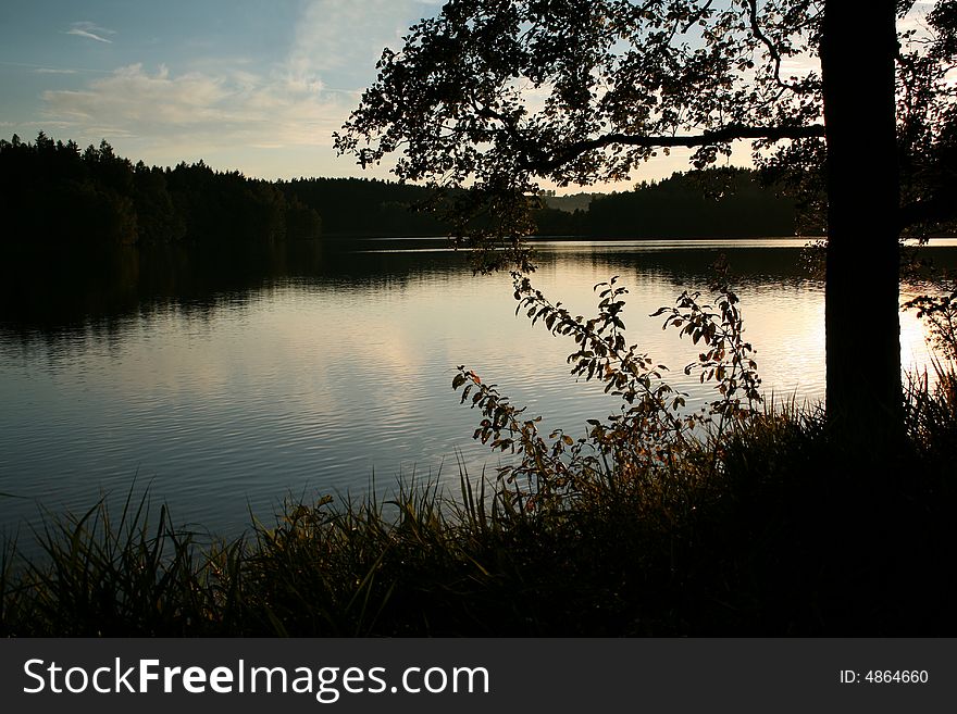 Lake in forest, silhouette of a tree
peaceful scene. Lake in forest, silhouette of a tree
peaceful scene