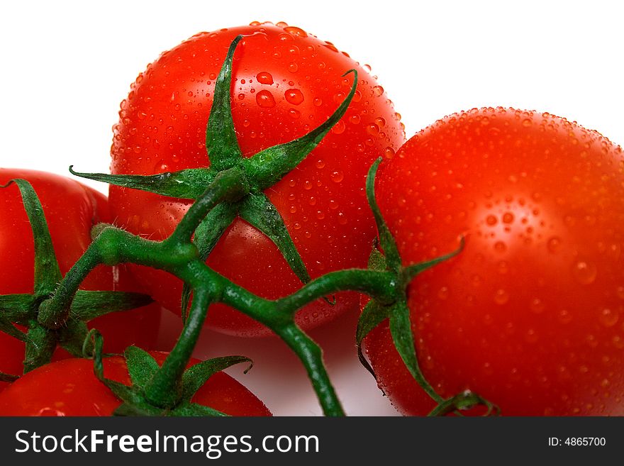 The perfect juicy tomatoes covered by drops of water, on a green branch. Isolation on white. Shallow DOF.