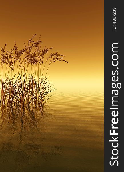 Water plants on a sea sunset  background  -  3D scene. Water plants on a sea sunset  background  -  3D scene.