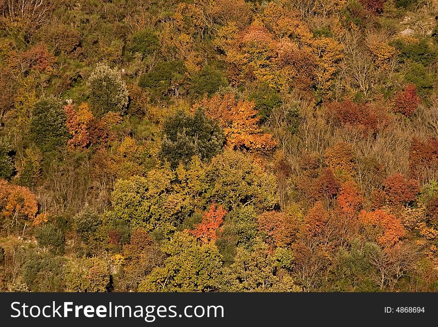 Colors of autumn in the land of tuscany, italy. Colors of autumn in the land of tuscany, italy