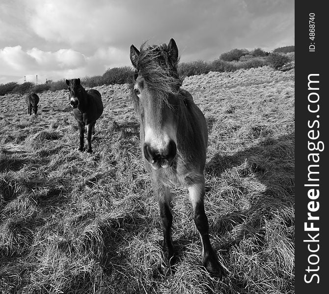 Taken with sigma lens 10mm-20mm near Dover-UK. Taken with sigma lens 10mm-20mm near Dover-UK