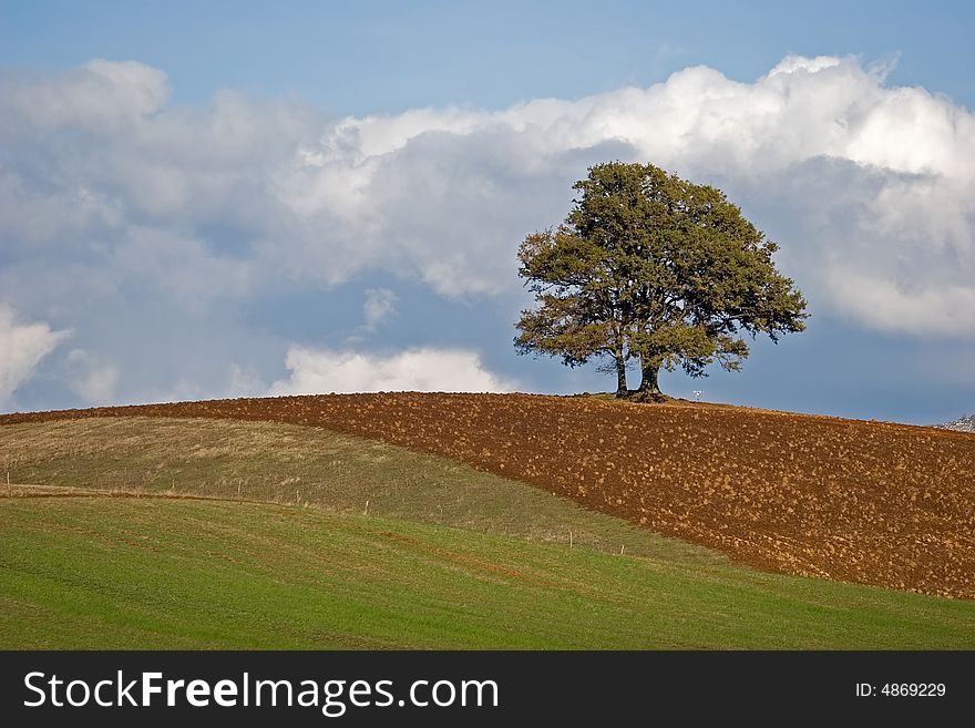 A picture of beautiful fields in the italy. A picture of beautiful fields in the italy