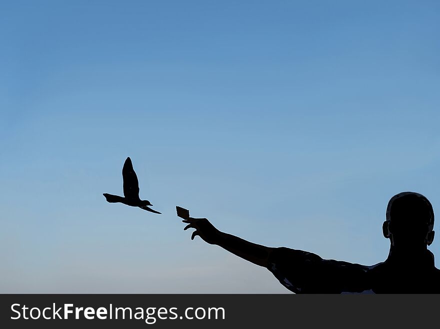 Silhouette Of A Man Who Feeds A Seagull With A Biscuit