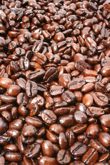 Coffee Beans Background Royalty Free Stock Image Coffee Beans Background Royalty Free Stock Image