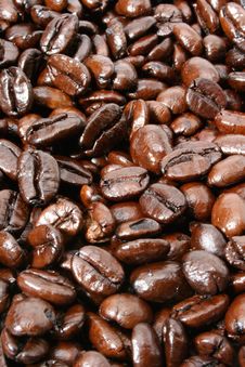 Coffee Beans Background Royalty Free Stock Photography Coffee Beans Background Royalty Free Stock Photography