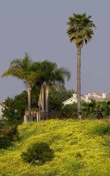 A Colorful Scenic View Stock Photography A Colorful Scenic View Stock Photography