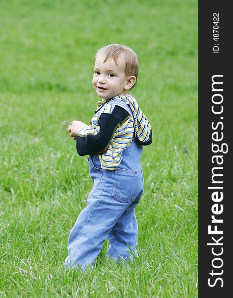 Cute baby boy on grass background