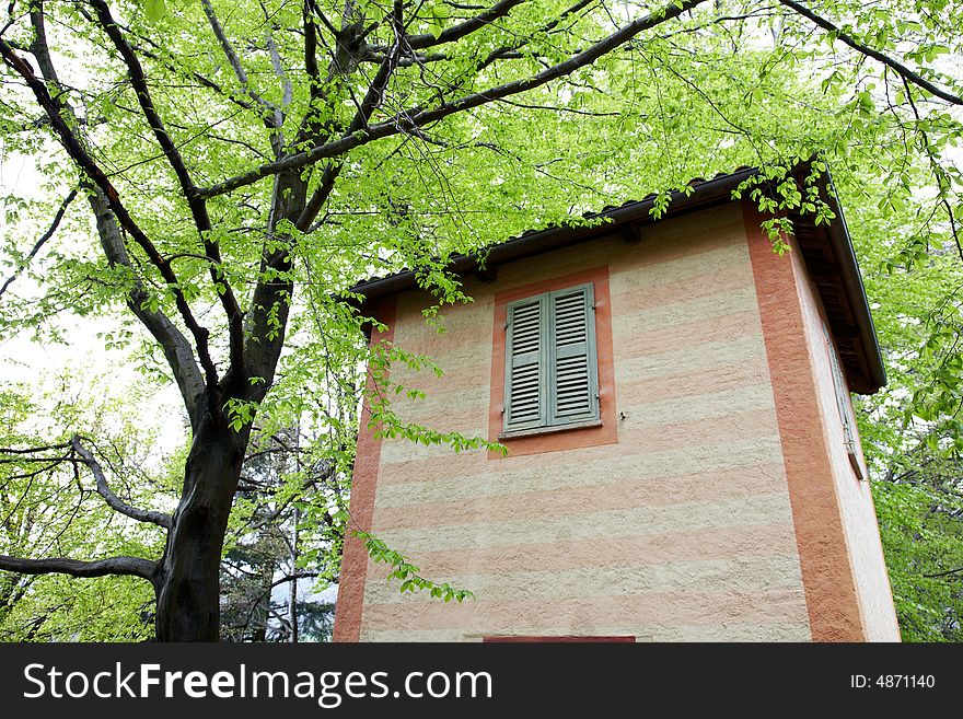 Small red country house under a large green tree
