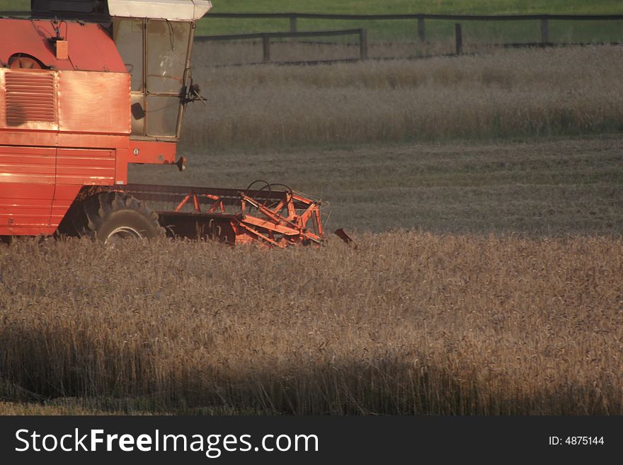 Combine harvester on the field, summer