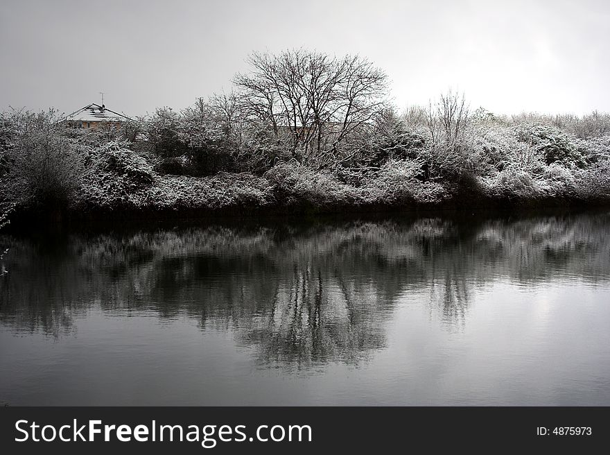 A snow covered tree next to the River Thames in Berkshire. A snow covered tree next to the River Thames in Berkshire