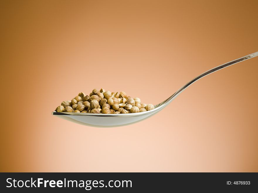 Metal spoon filled with coriander seed over brown background. Metal spoon filled with coriander seed over brown background