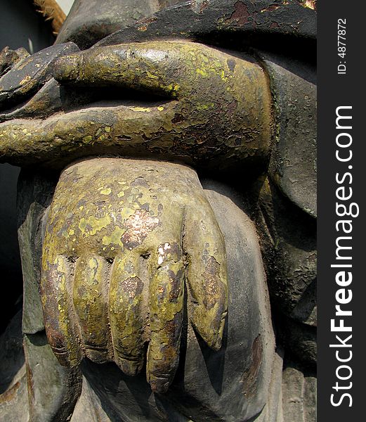 Close-up of  buddha hand