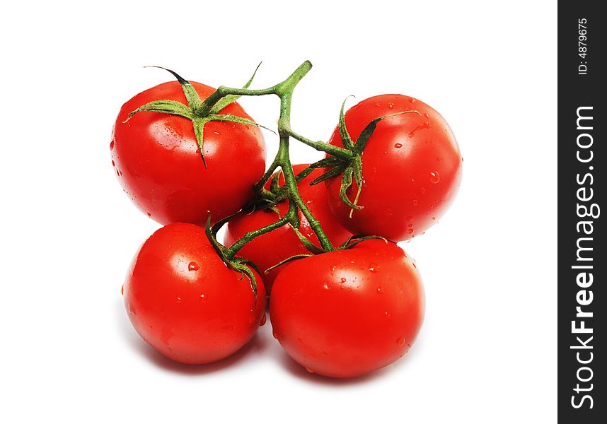 Five red tomatoes  isolated on  white