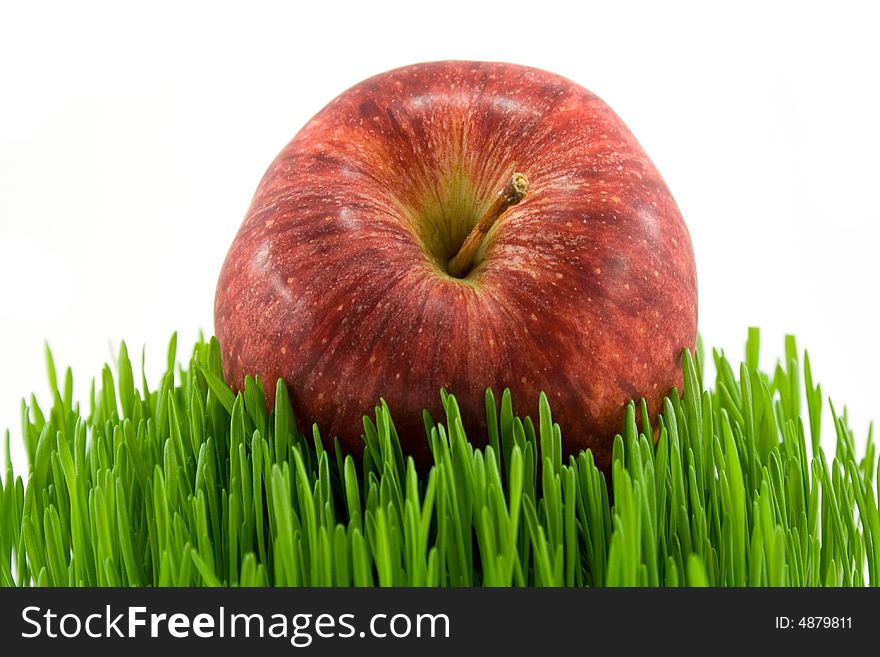 Red apple on green grass isolated on white