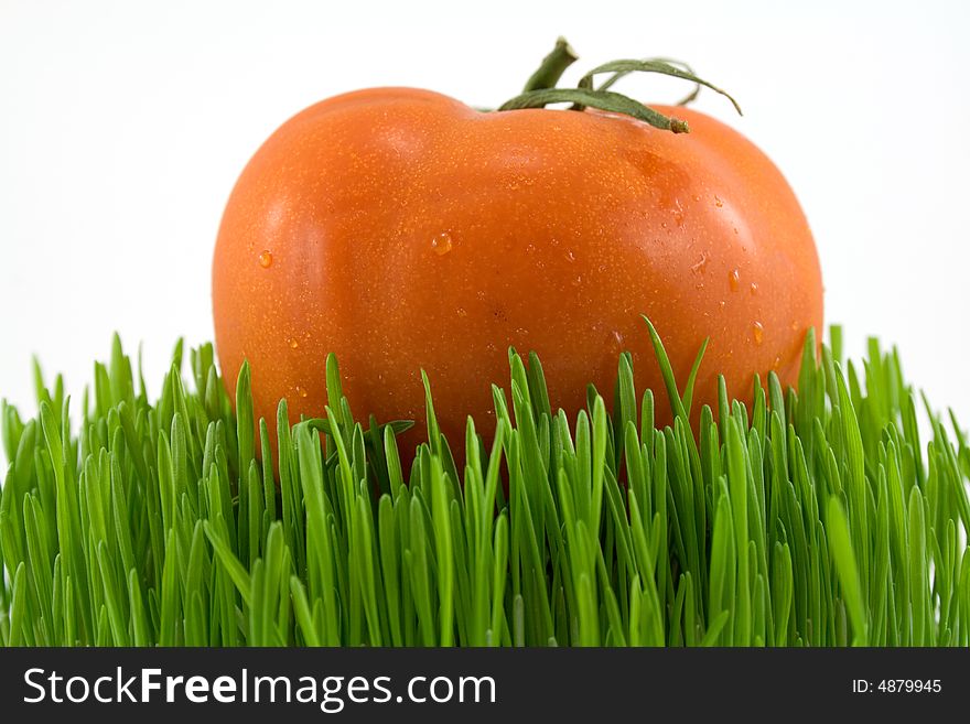 Red tomato on green grass isoalted on white. Red tomato on green grass isoalted on white