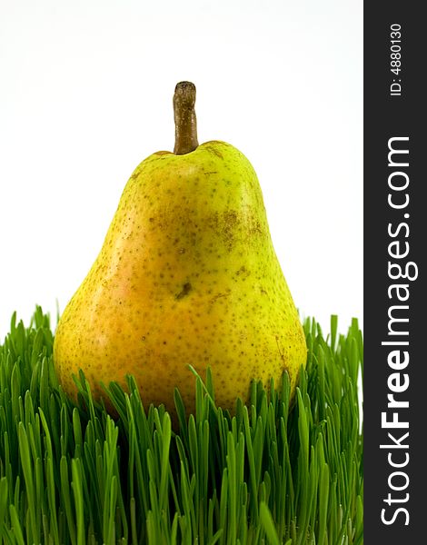 Pear On Grass