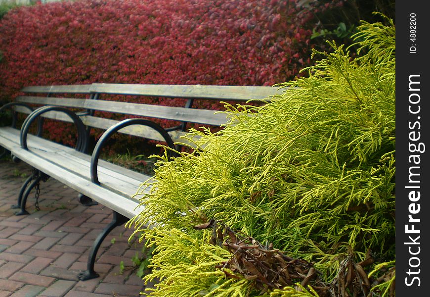 A beautiful seat in the edge of the hudson river