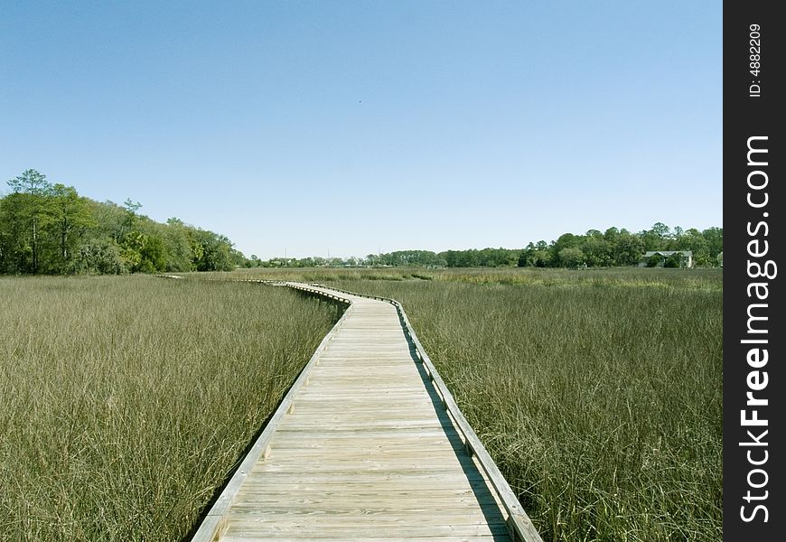 Wooden walkway in georga nature center. Wooden walkway in georga nature center.