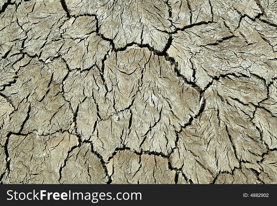 Close up on dry cracked land