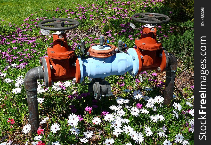 Hydrant supplies water to gardens and flowers. How long will it last?. Hydrant supplies water to gardens and flowers. How long will it last?