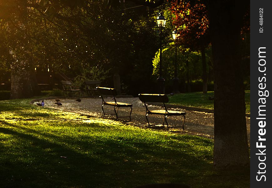 Sunset bench in a city park.