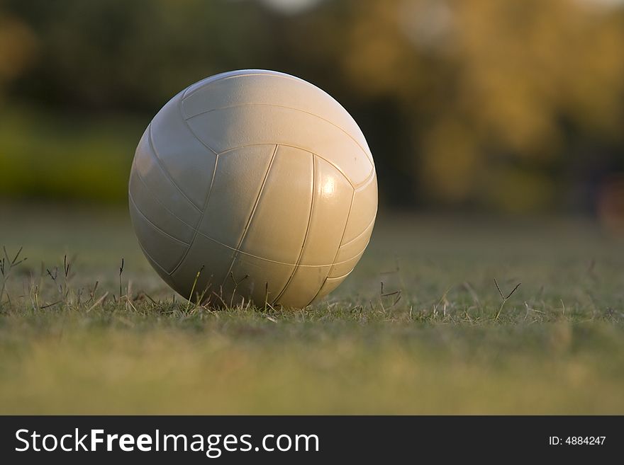 Volley ball on grass