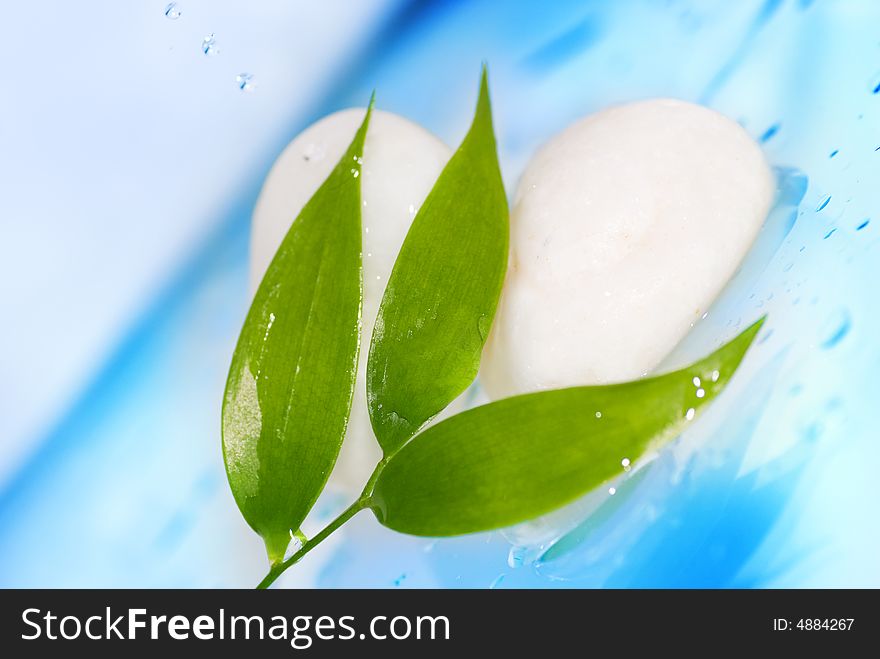 Picture of a Spa still life