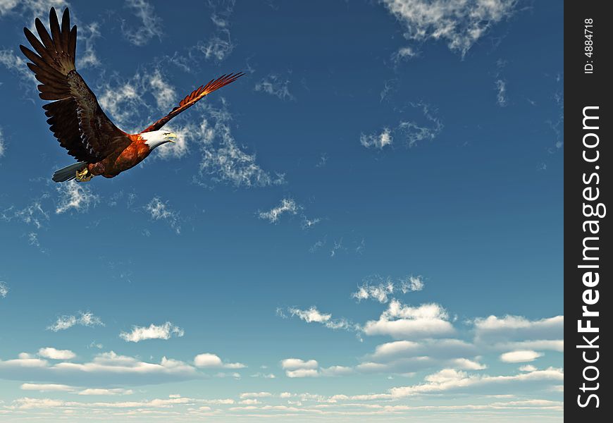 Eagle flying on a background of the dark blue sky