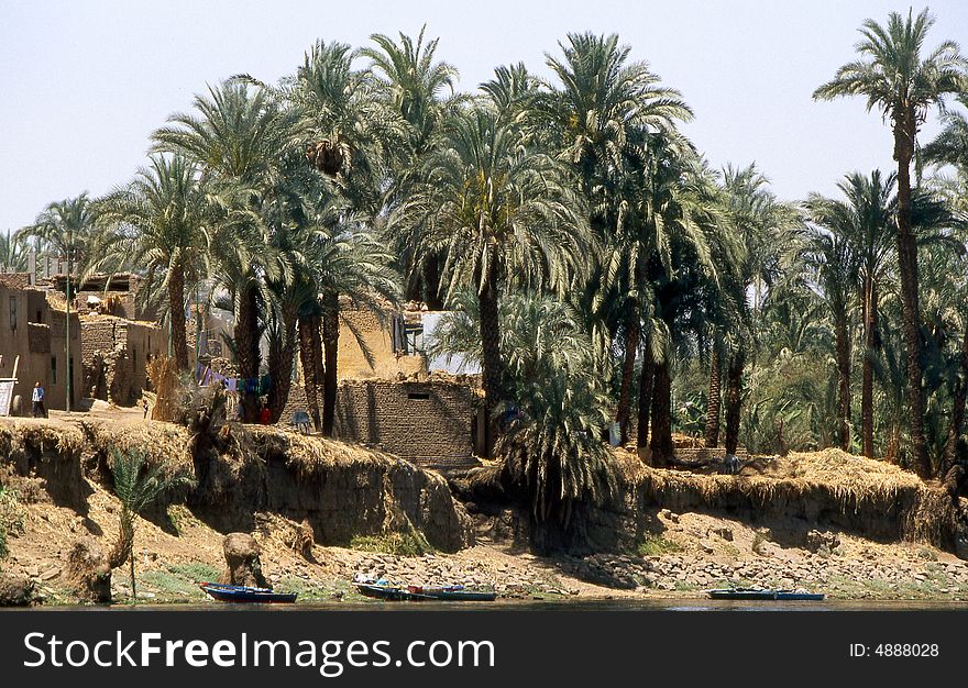 Village among palms over the Nile