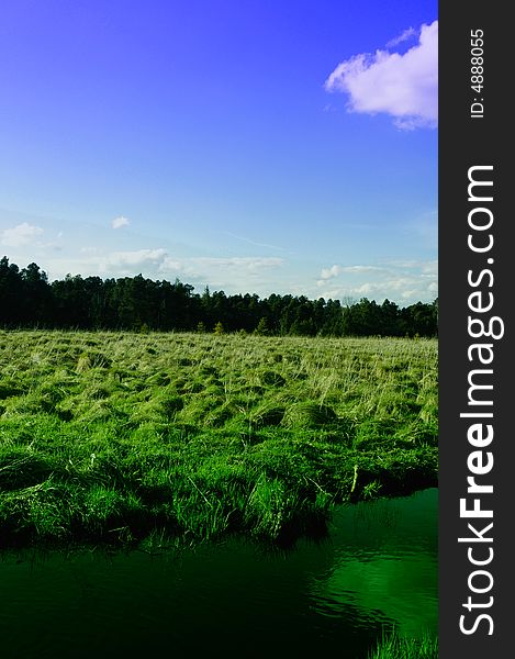 Green grasland with blue sky and clouds. Green grasland with blue sky and clouds