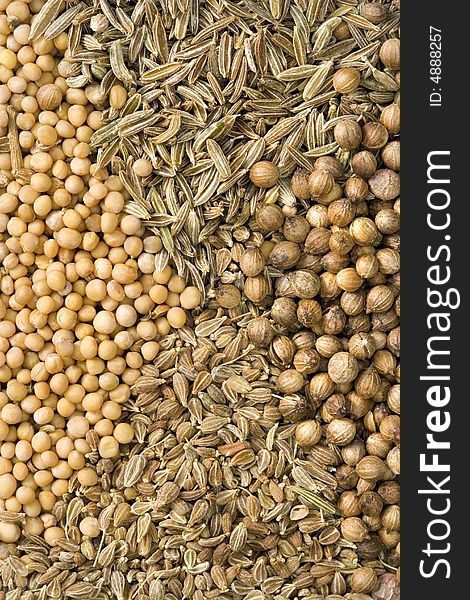 A background from spice (seed of anise, mustard, cumin, coriander)