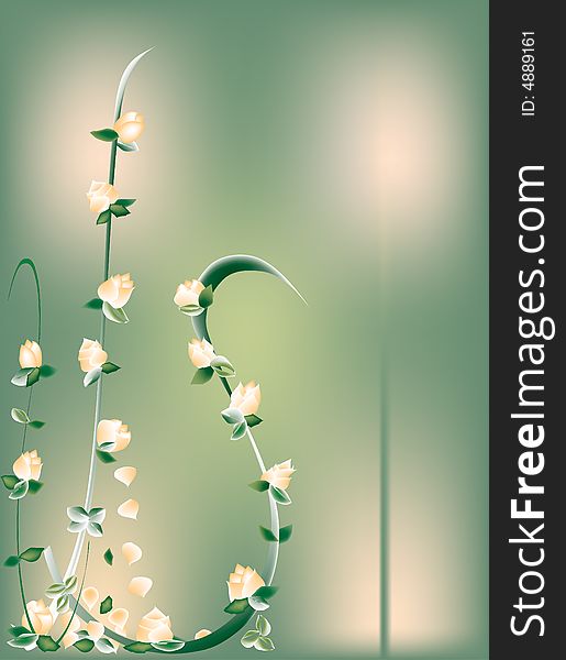 Peach roses and petals set against green backdrop