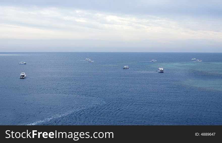 Many white yachts float in the sea