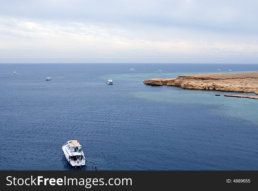 Many white yachts float in the sea