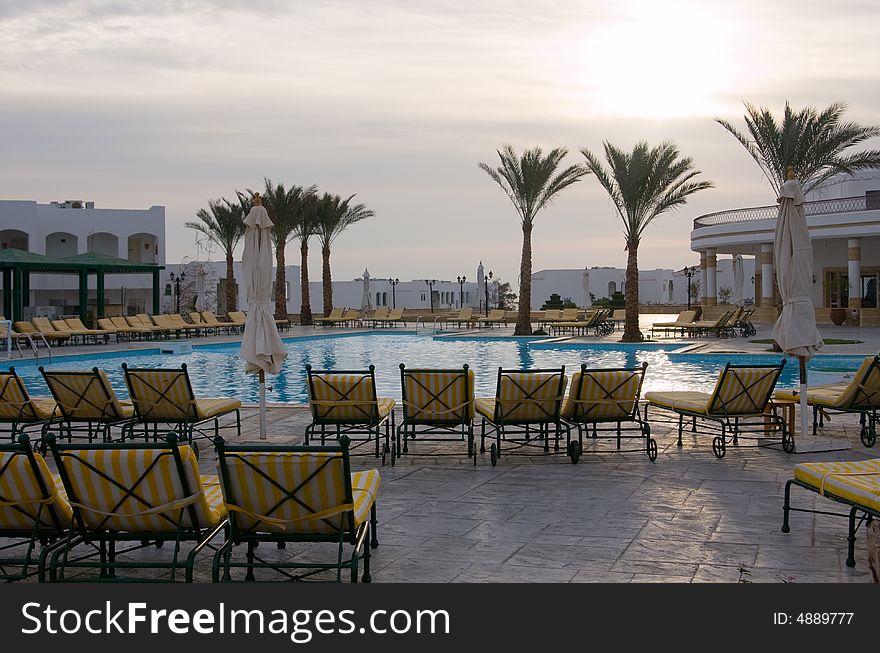 Pool and palm trees in hotel