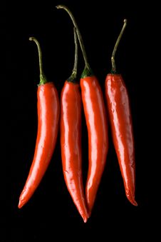 Four Red Chili Peppers Royalty Free Stock Photo Four Red Chili Peppers Royalty Free Stock Photo