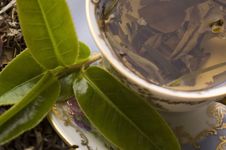 Tea Stock Images Tea Stock Images