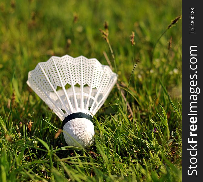 Badminton shuttlecock in the grass