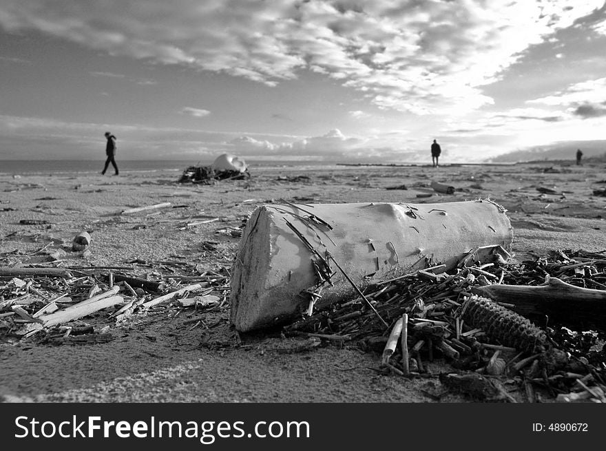 Beach in winter with wood an isolated people. Beach in winter with wood an isolated people