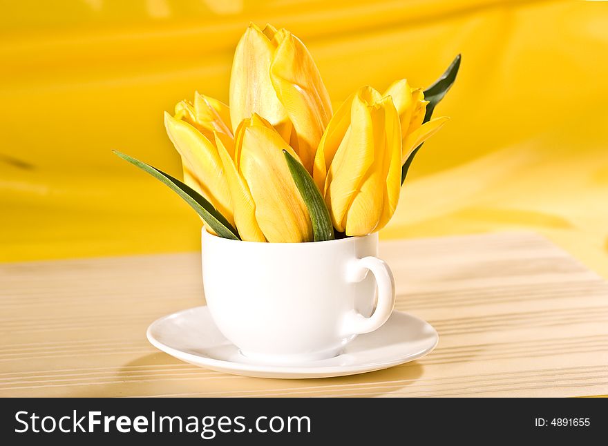 Yellow tulip in the bowl over yellow background