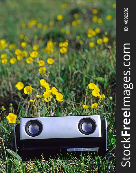 Portable sound box with two speakers in flowers