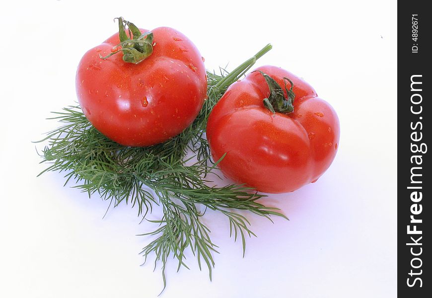 Two fresh red tomatoes and green fennel on a white background. Two fresh red tomatoes and green fennel on a white background