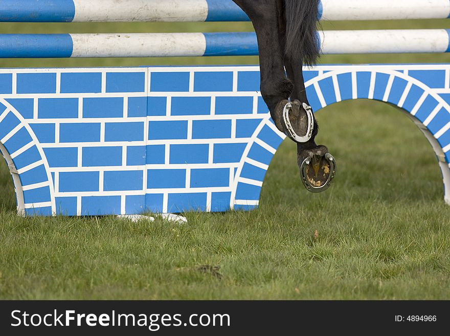 Horse in a show jumping event. Horse in a show jumping event