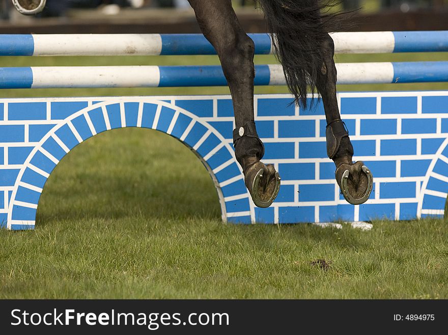 Horse in a show jumping event. Horse in a show jumping event