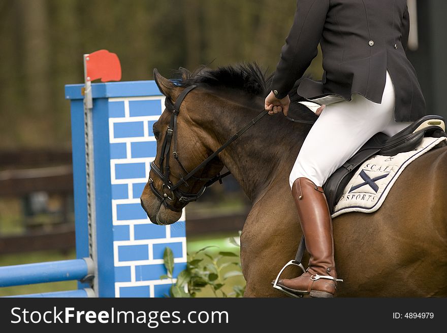 Horse in a show jumping event. Horse in a show jumping event