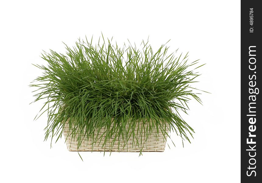 Grass in a basket