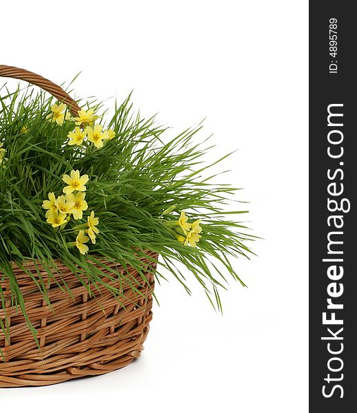 Yellow flowers in basket with fresh grass